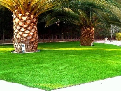 GAMA GARDEN LINE - NATURE