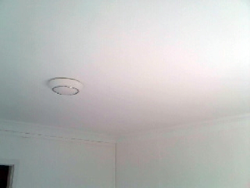 Techo y paredes tratado y pintado