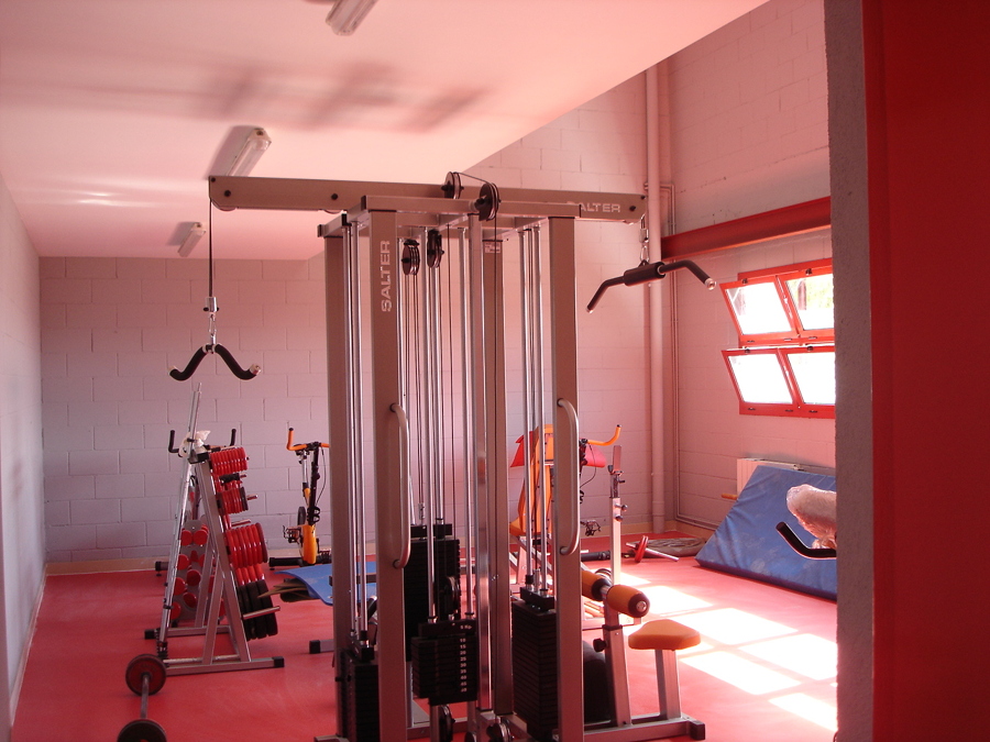 Gimnasio