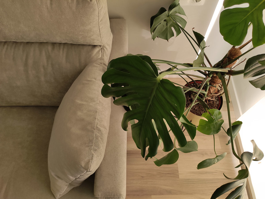 Habitación multiusos: Despacho + Habitación Invitados