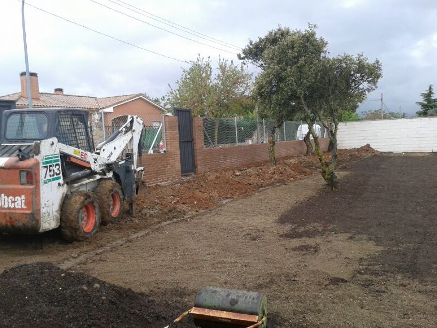 Haciendo zanja para plantar Arizónicas