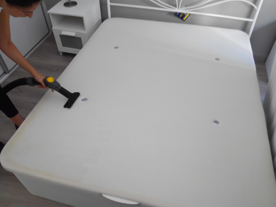 Hgienización del canapé.