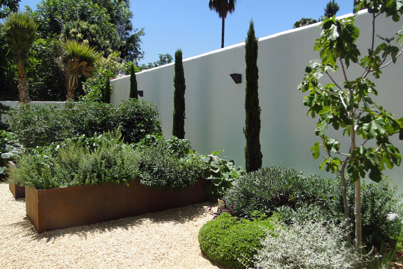 Huerto urbano en jardín de Sevilla
