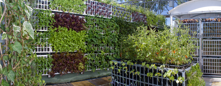Huerto Vertical
