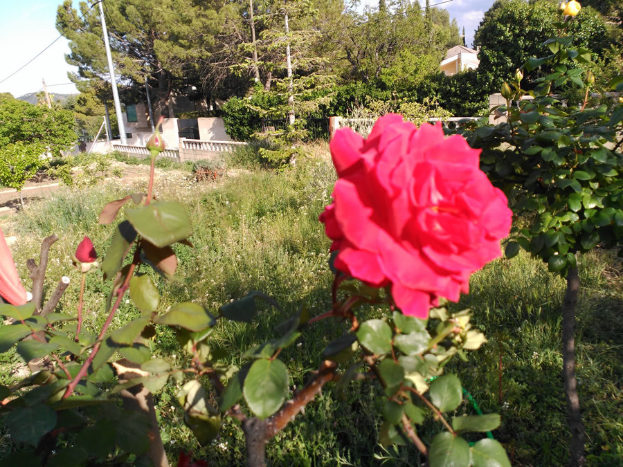 Huertos hurbanos Murcia