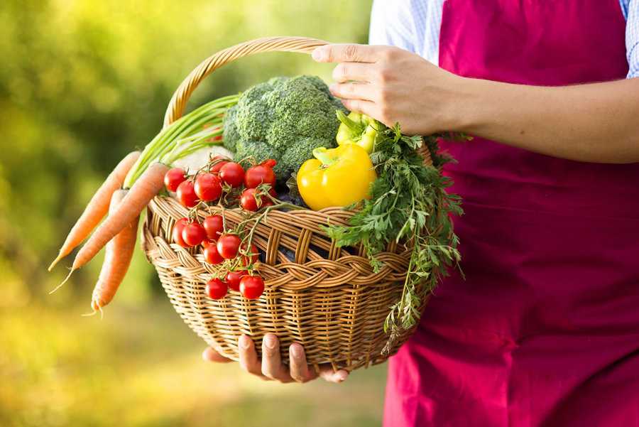 Huertos hurbanos Murcia