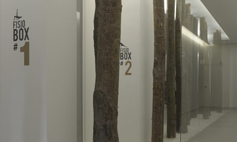 IESIK_detalle troncos