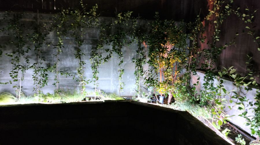 Iluminación de la jardinera