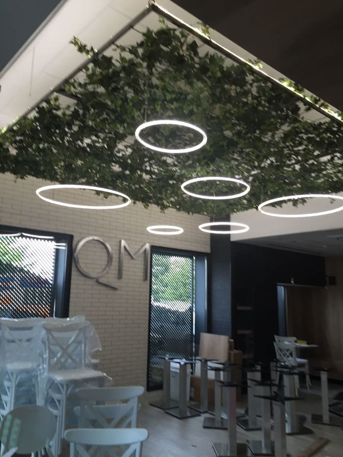 Iluminación de led y vegetación