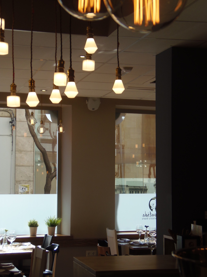 ILUMINACION DECORATIVA