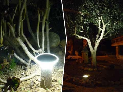 Iluminando el jardín