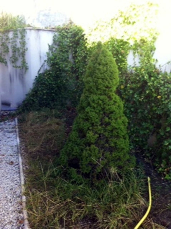 Imagen antes de realizar la obra 1