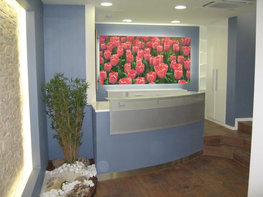 Imagen del mostrador, desde la entrada