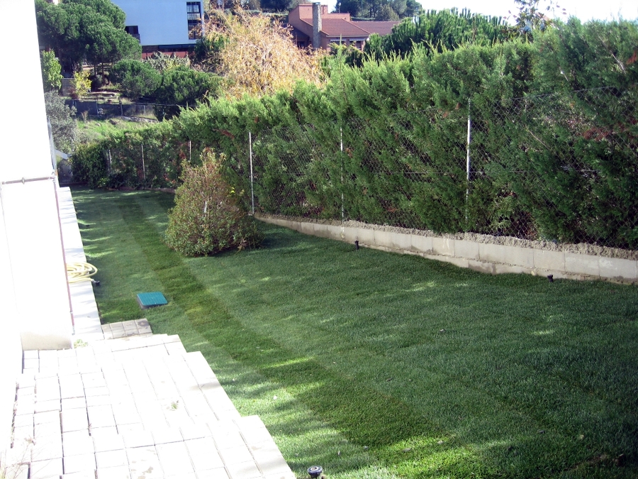 Imagen una vez realizado el ajardinamiento 3