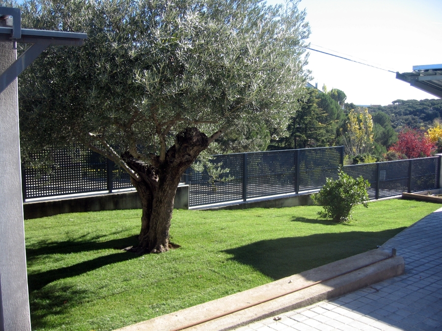 Imagen una vez realizado el ajardinamiento 5