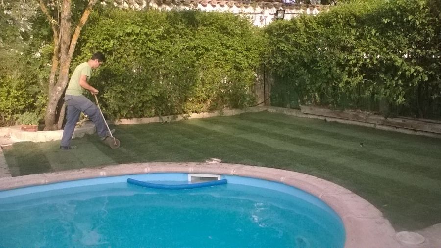 Implantacion de cesped en tepes de 40 m2