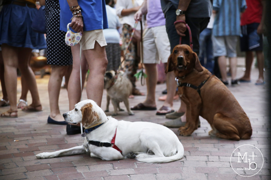Inaguración Clínica Veterinaria