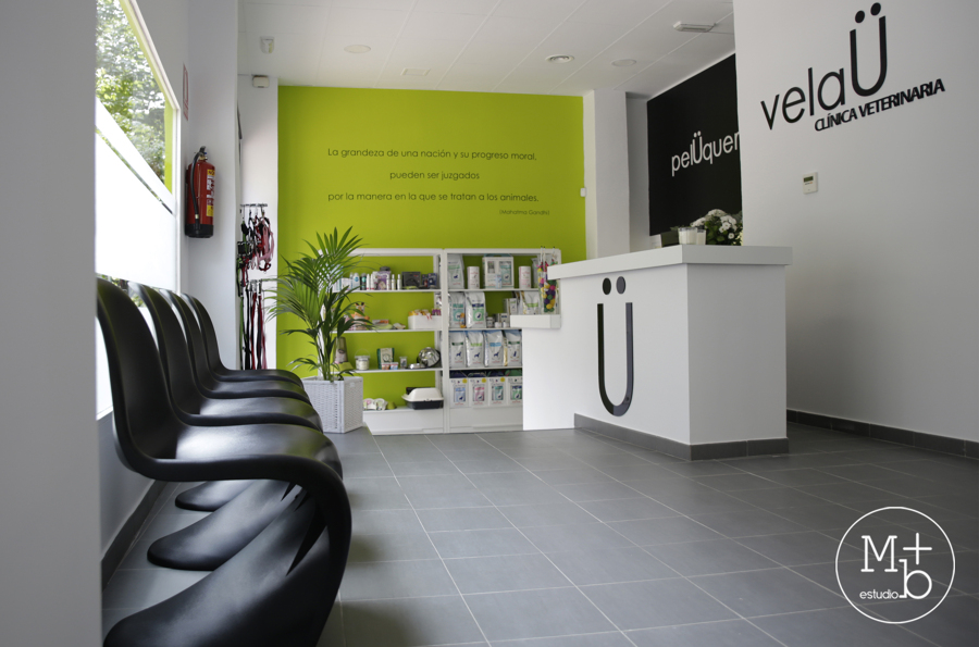 Infografía Interior Clínica Veterinaria