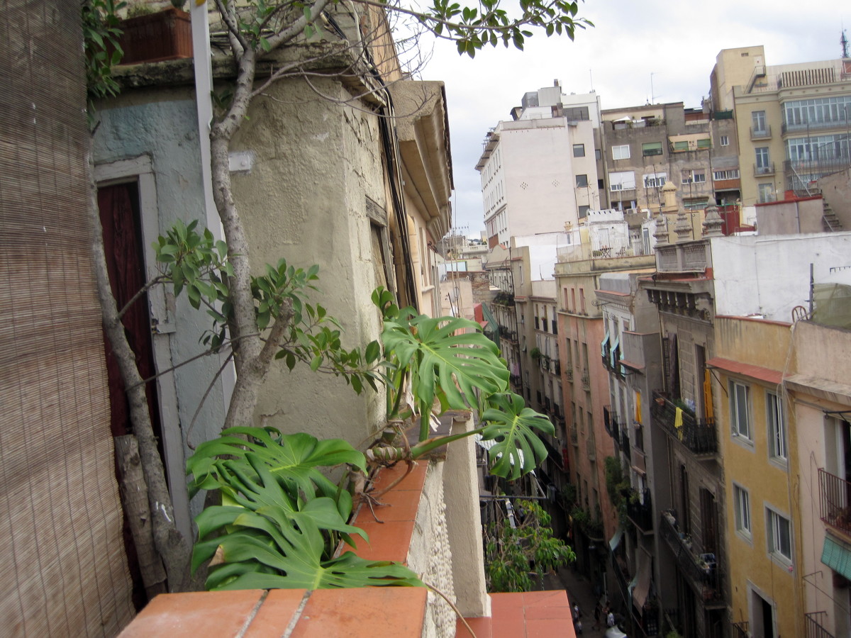 Inspección técnica edificio plurifamiliar en el casco antiguo