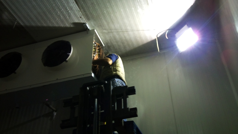 Instalación Cámaras Frigoríficas en HORNEO S.L ,ALICANTE