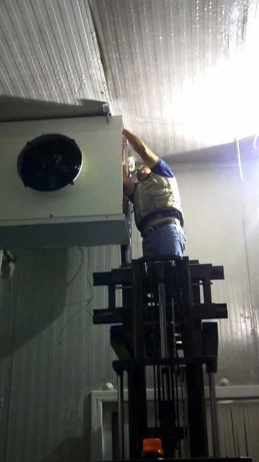 Instalación Cámaras Frigoríficas en HORNEO S.L ,ALICANTE