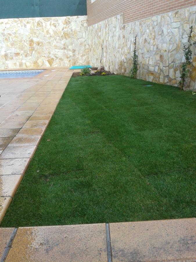 Instalación de tepe y riego automático