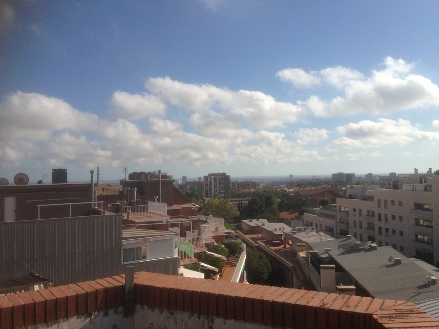 INSTALACION Y FORRADO DE SUELO Y PAREDES EN TERRAZA