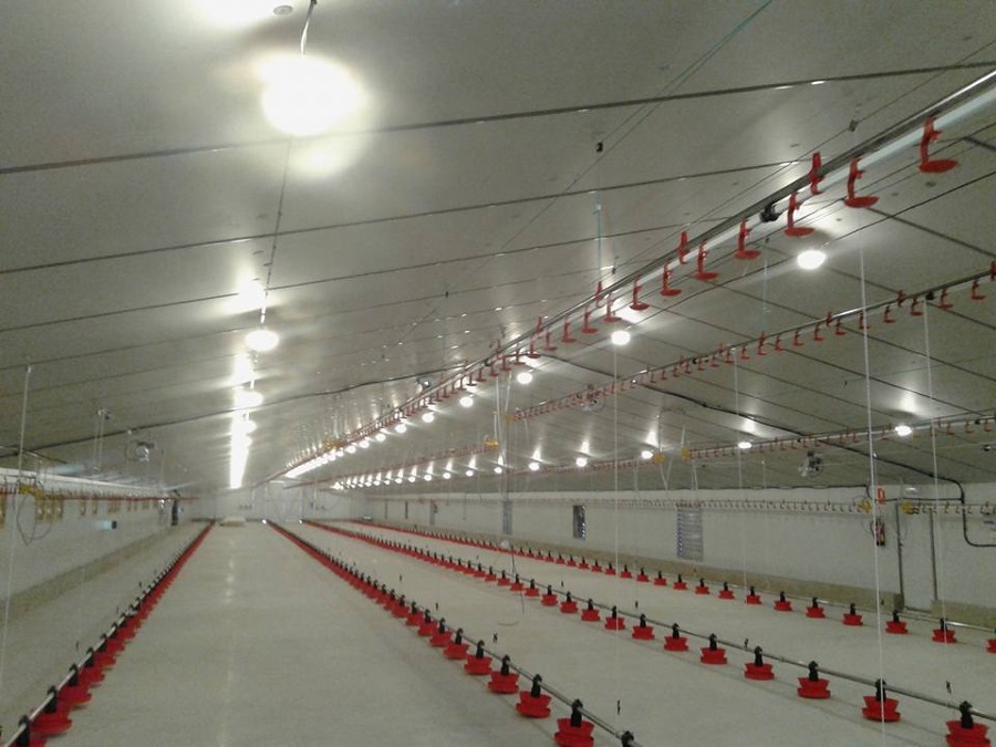 Instalaciones interiores.