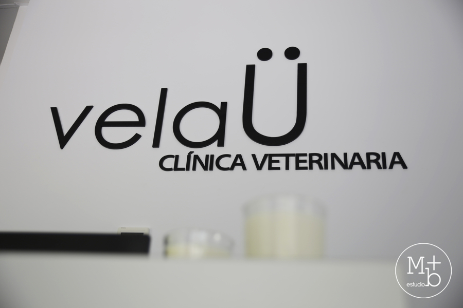 Interior Clínica Veterinaria