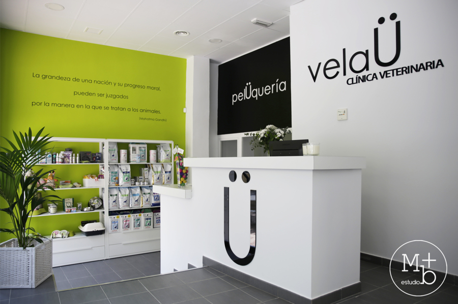 Interior Clínica Veterinaria