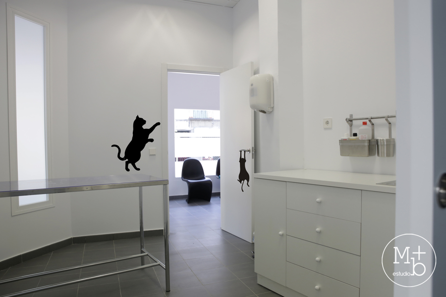 Interior consulta Clínica Veterinaria