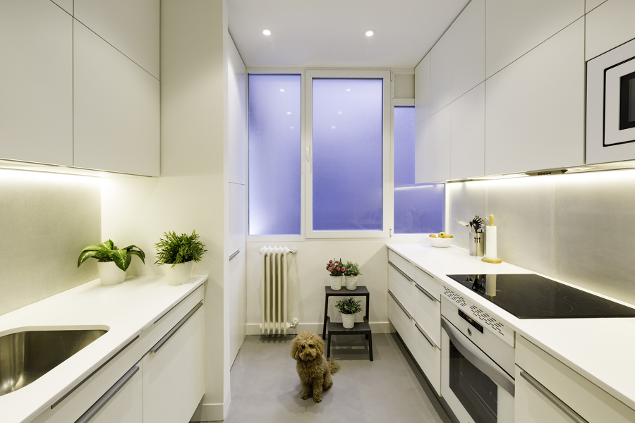 Interior de la cocina