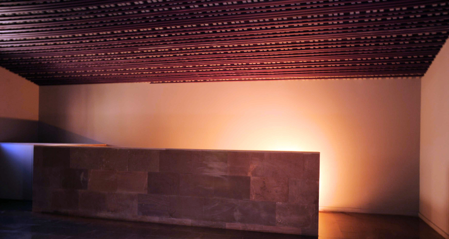 INTERIOR PLANTA PRIMERA