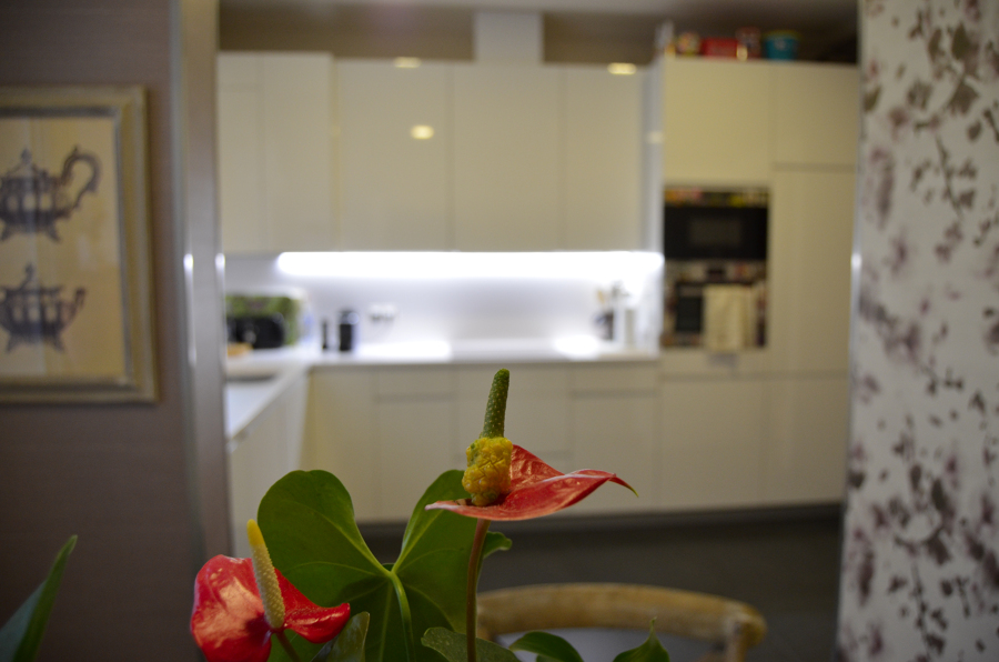 Interiorismo vivienda integral