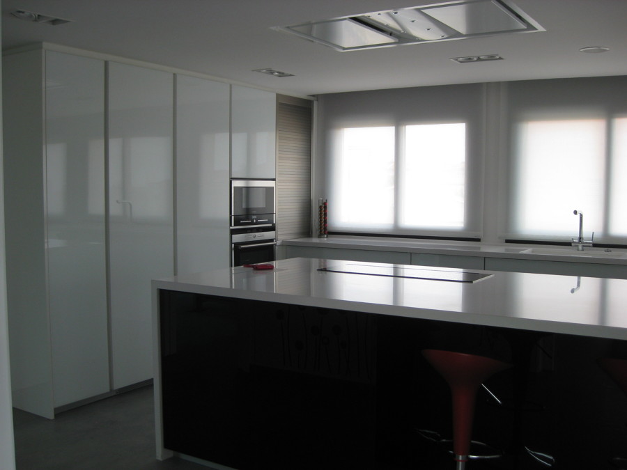 Isla con campana de techo