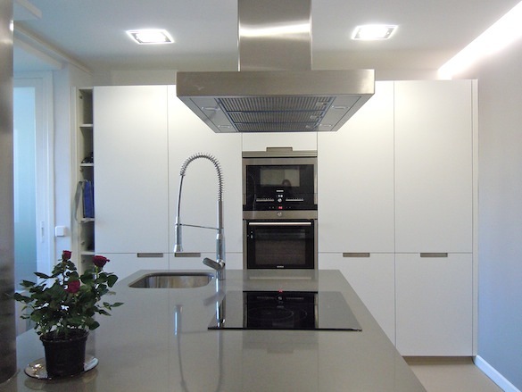 Isla y armarios de frio y hornos