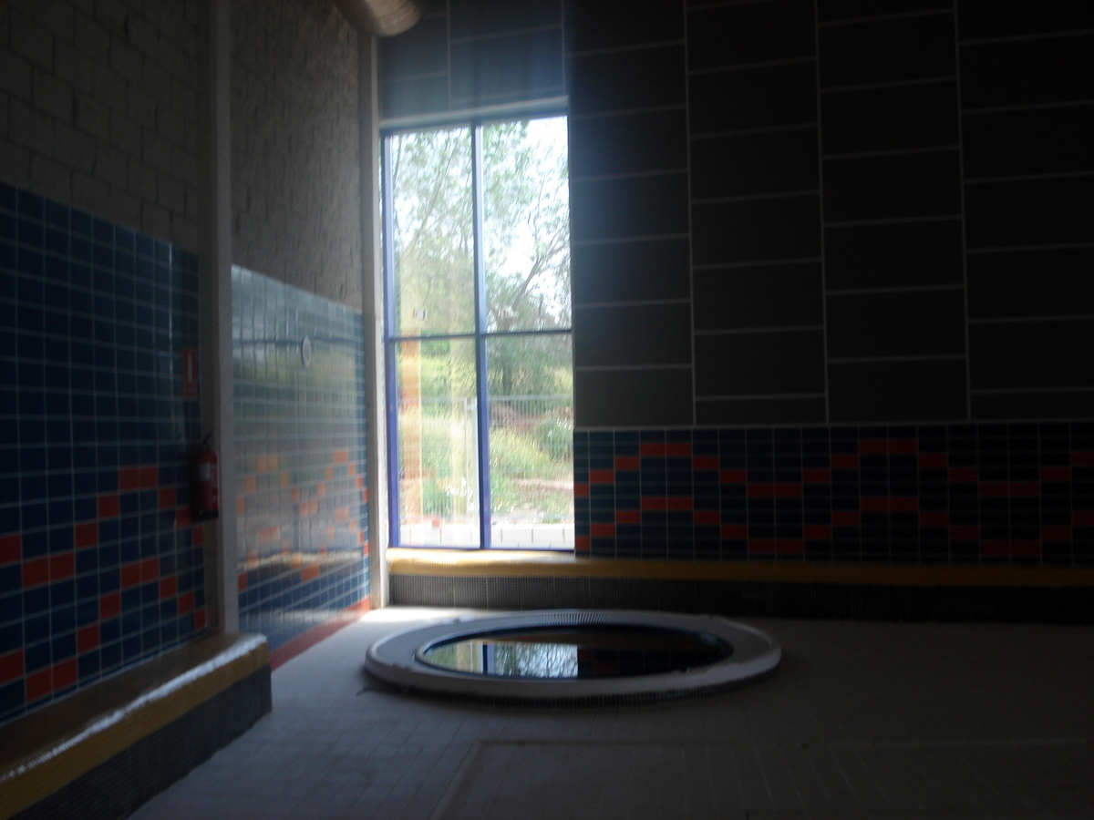 Jacuzzi y carpinteria 