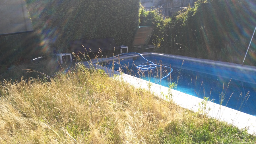 Jardin antes de aconcionarlo 