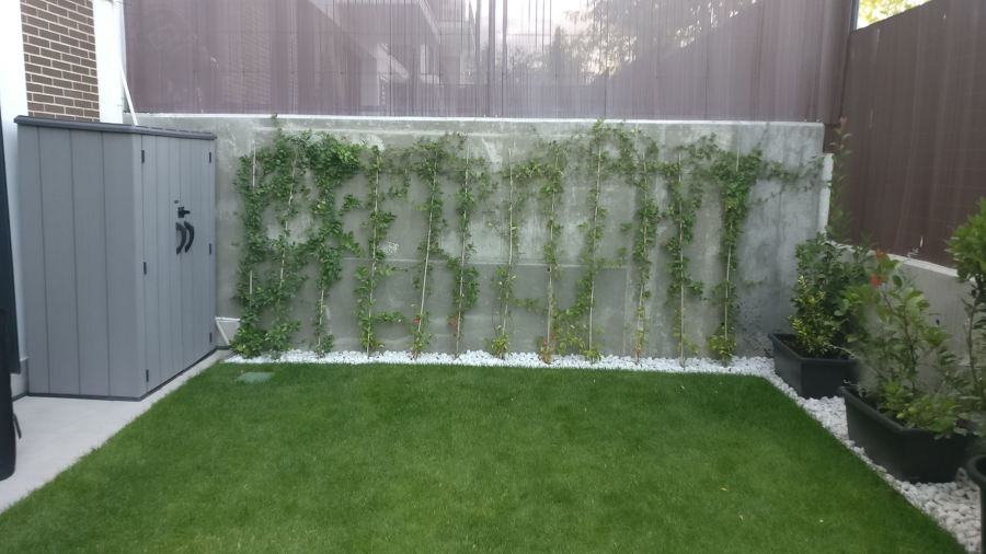 Jardín antes del trabajo