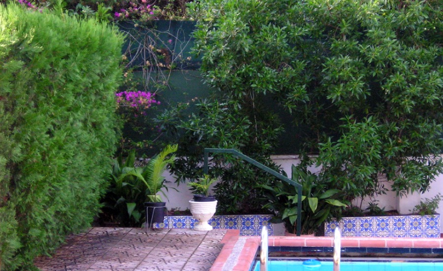 JARDÍN JUNTO A PISCINA
