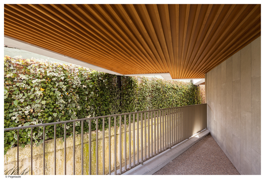 Jardín vertical para Hotel Araba