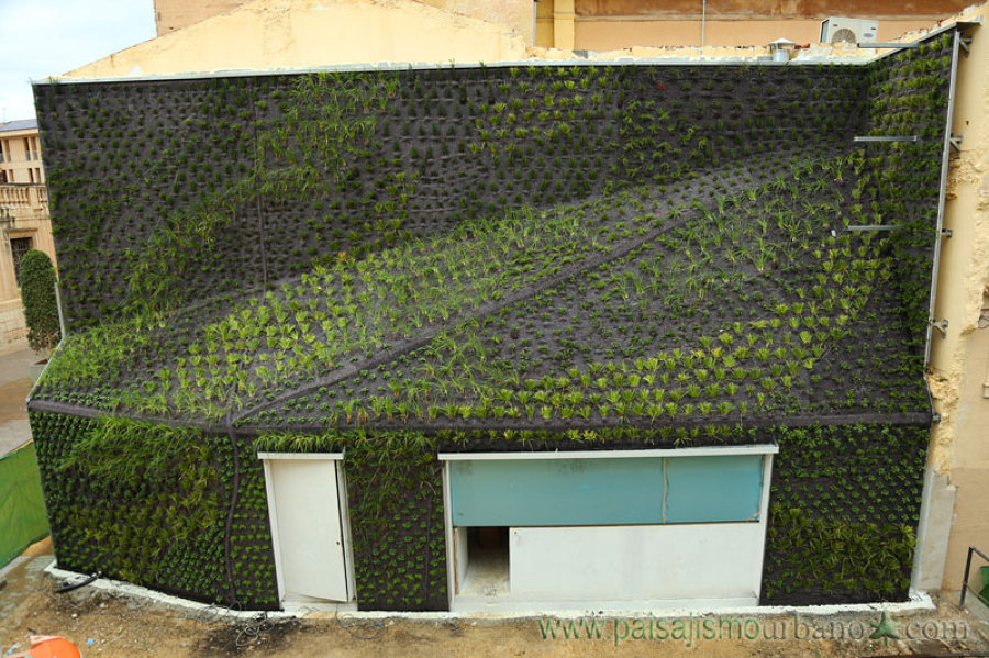 Jardín vertical recién terminado