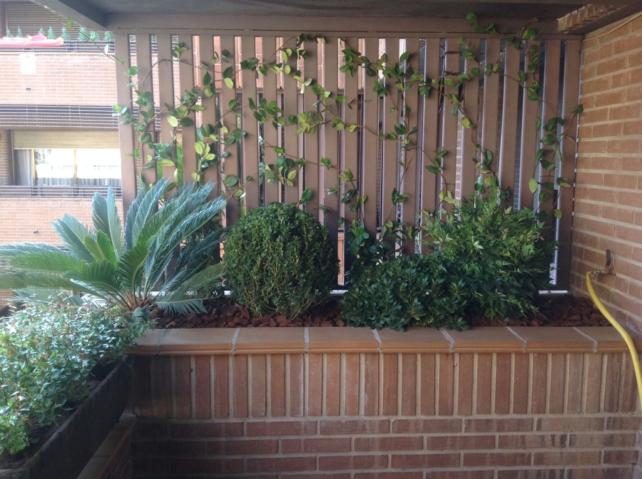 Jardinera de obra (después)