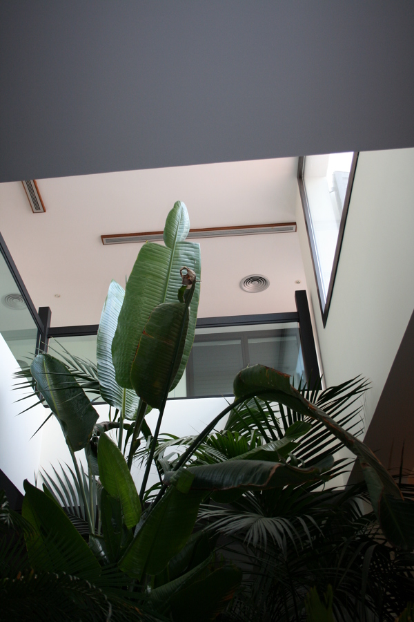 JArdinera interior 1