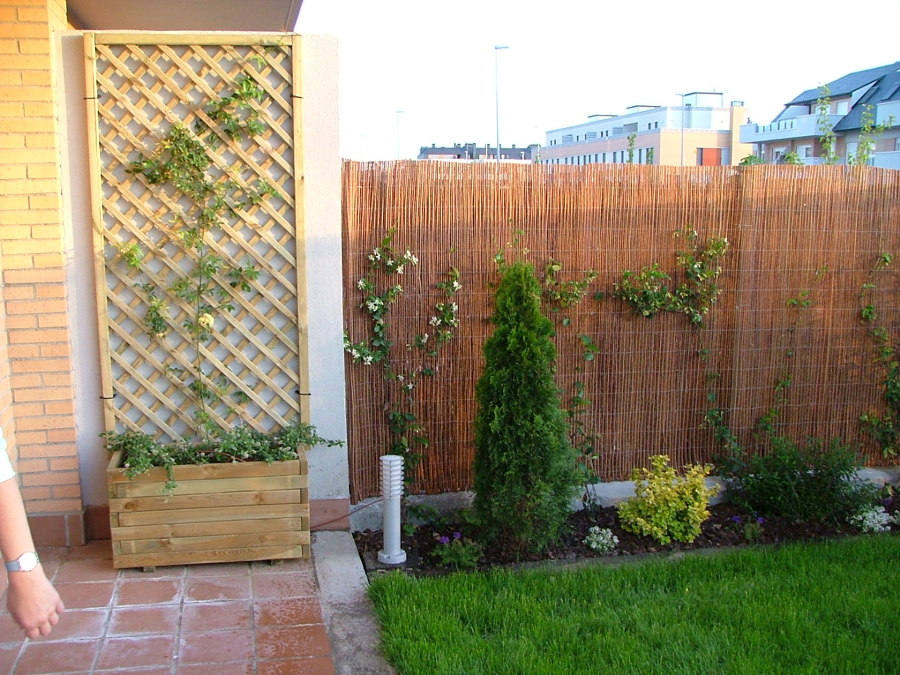 JARDINERAS Y CELOSIA