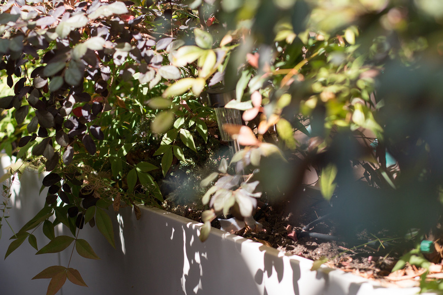 Jardinería terraza.
