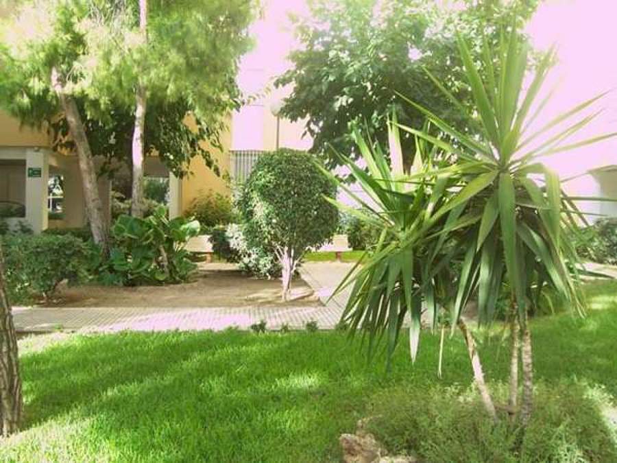 Jardinería y Paisajismo