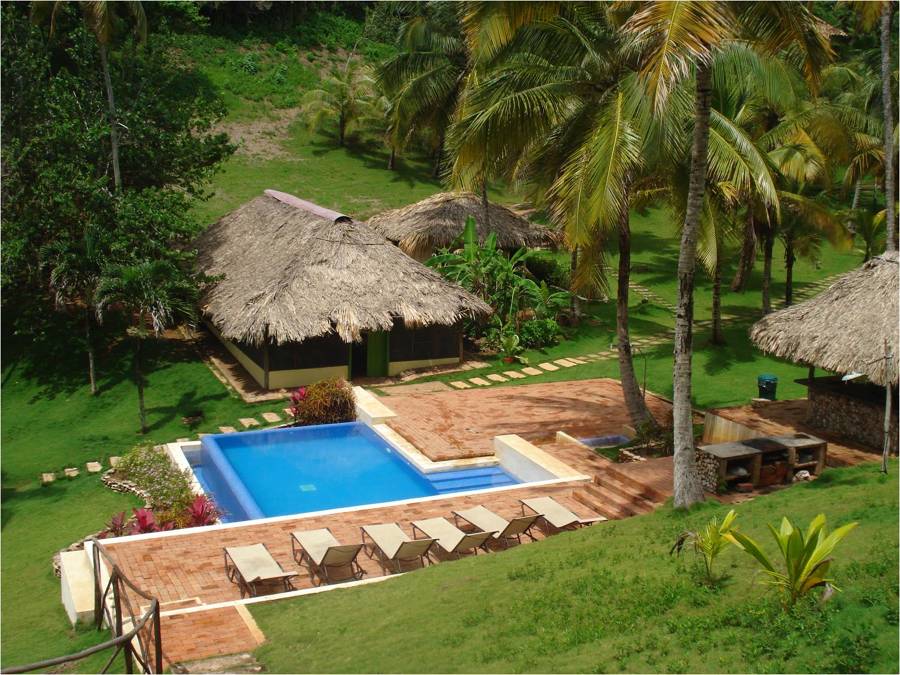 Jardinero Marbella, Jardinero Estepona, Jardinero Sotogrande. Jardinería Marbella, Jardinería Malaga