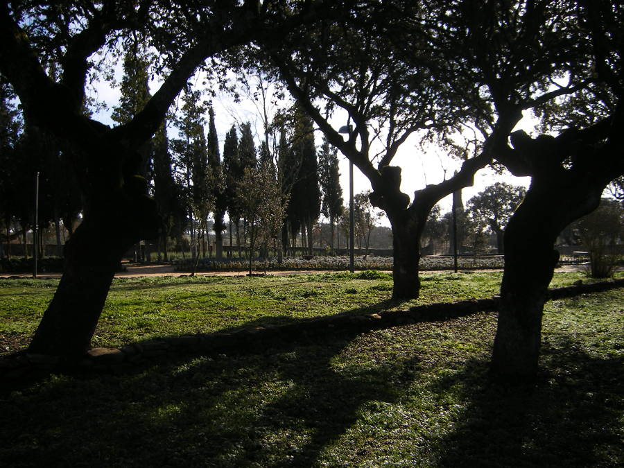 JARDINES DEL CUARTON