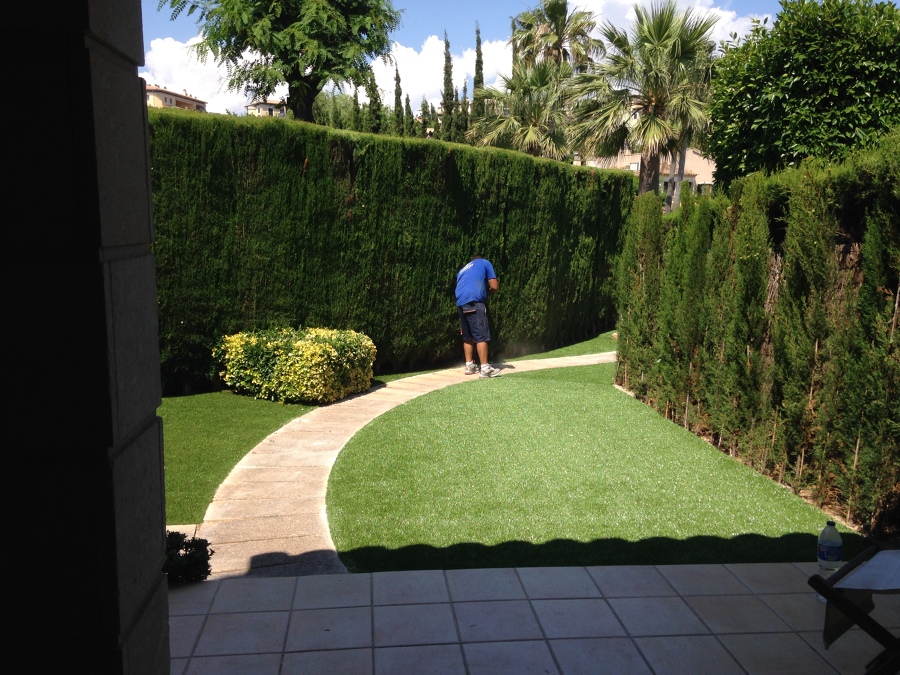 Jardines siempre verdes...